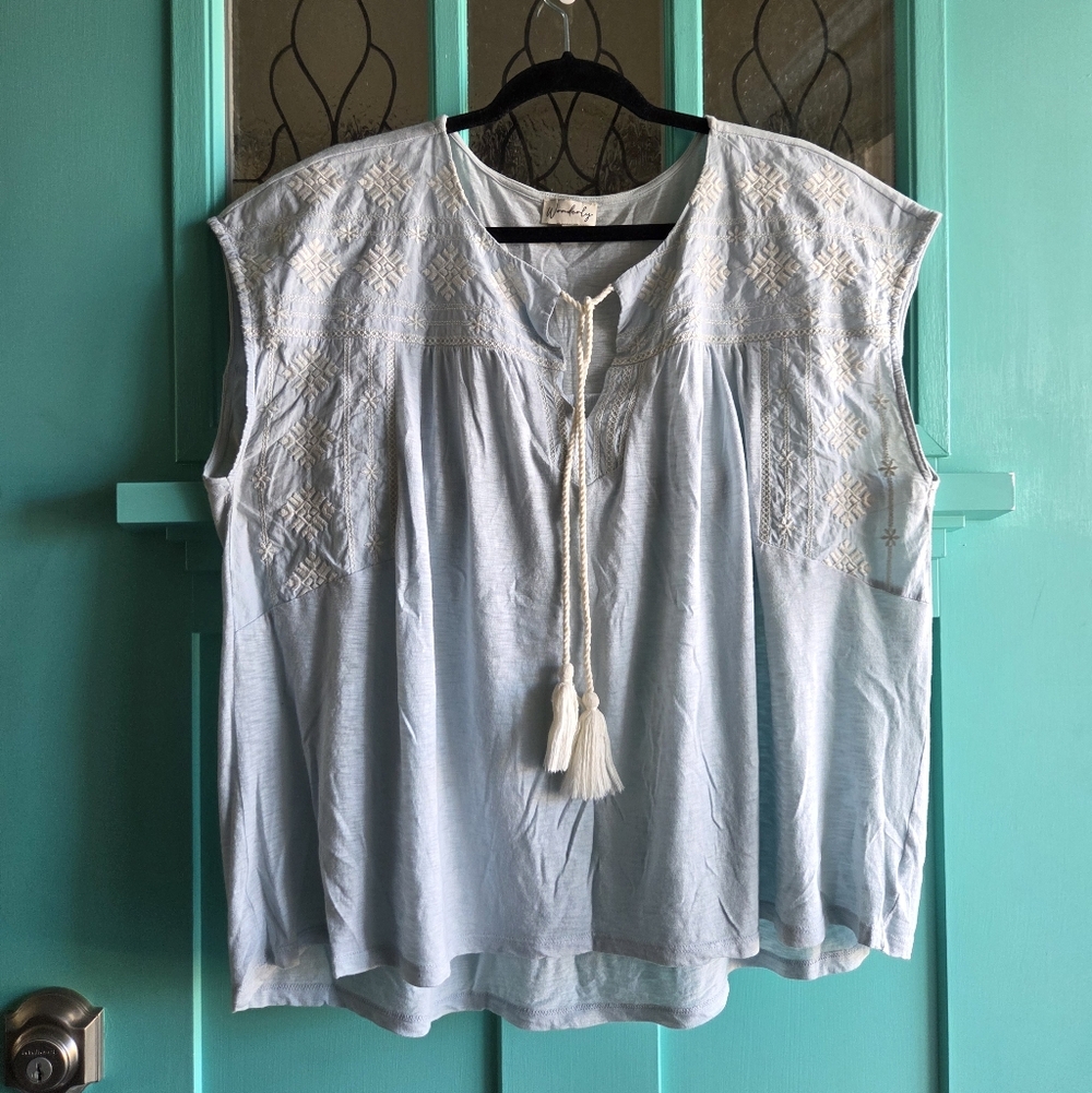 Wonderly Sky Blue Embroidered Blouse